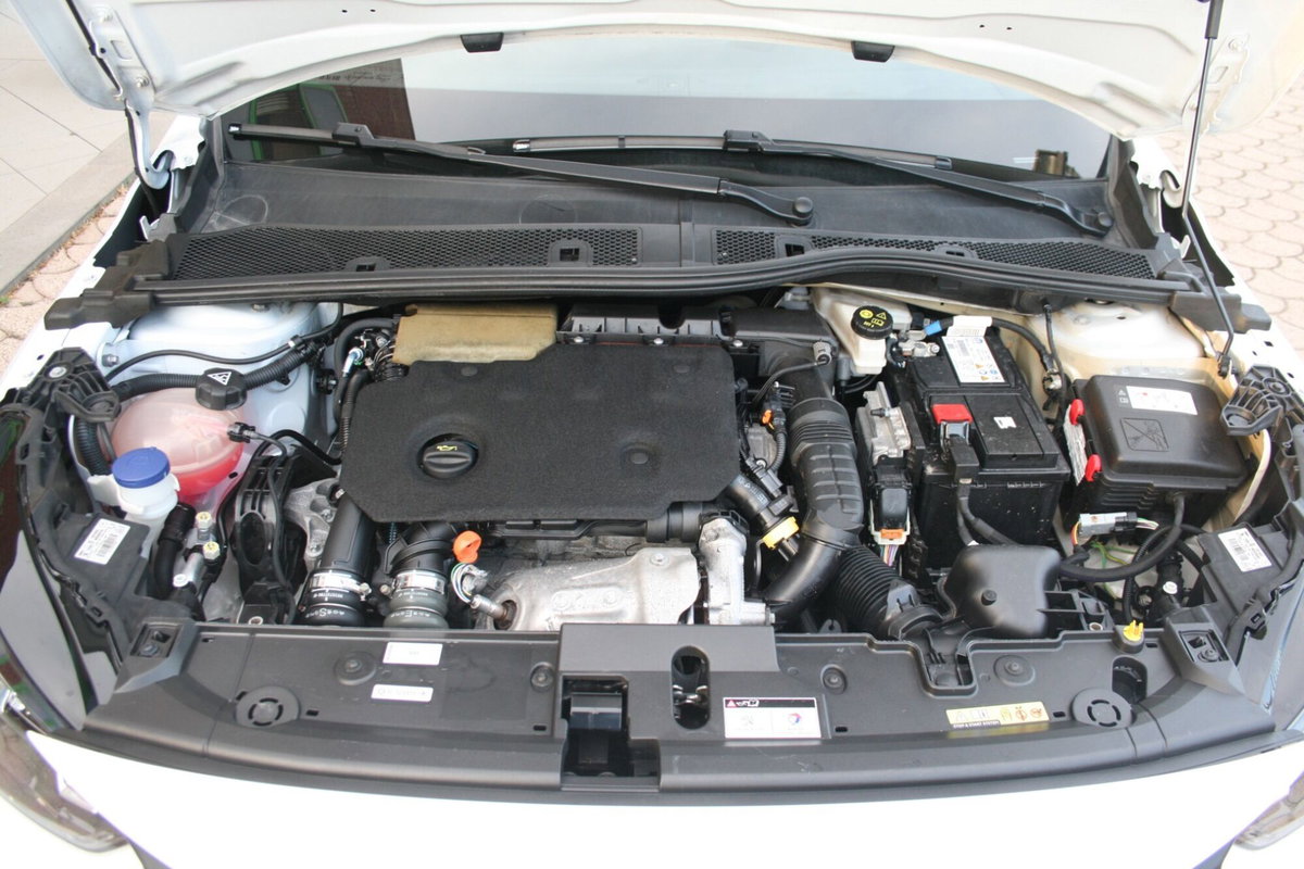 Peugeot 208 BlueHDi 100 Stop&Start 5 porte Active Pack (18)