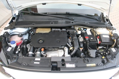 Peugeot 208 BlueHDi 100 Stop&Start 5 porte Active Pack (18)