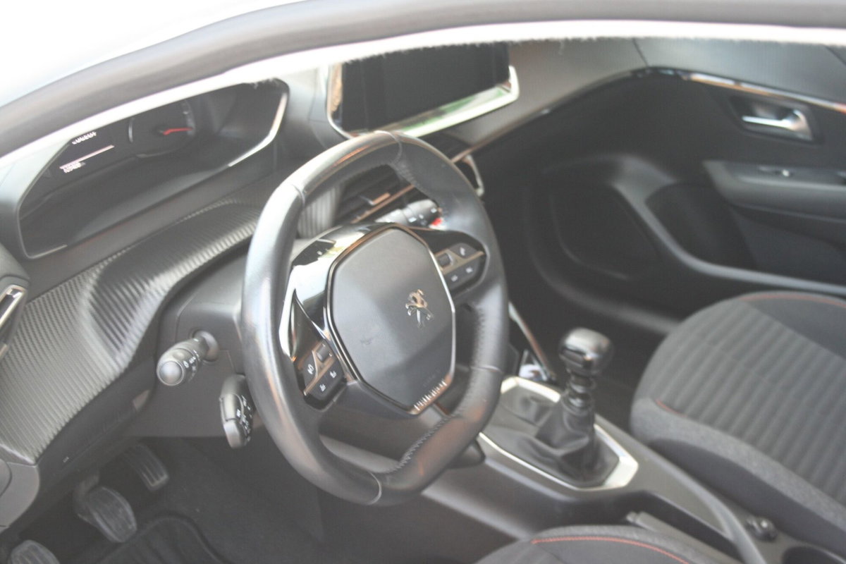 Peugeot 208 BlueHDi 100 Stop&Start 5 porte Active Pack (8)