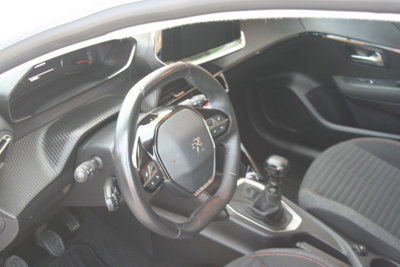 Peugeot 208 BlueHDi 100 Stop&Start 5 porte Active Pack (8)