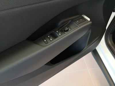 Volkswagen T-Roc 1.5 tsi Life dsg (20)