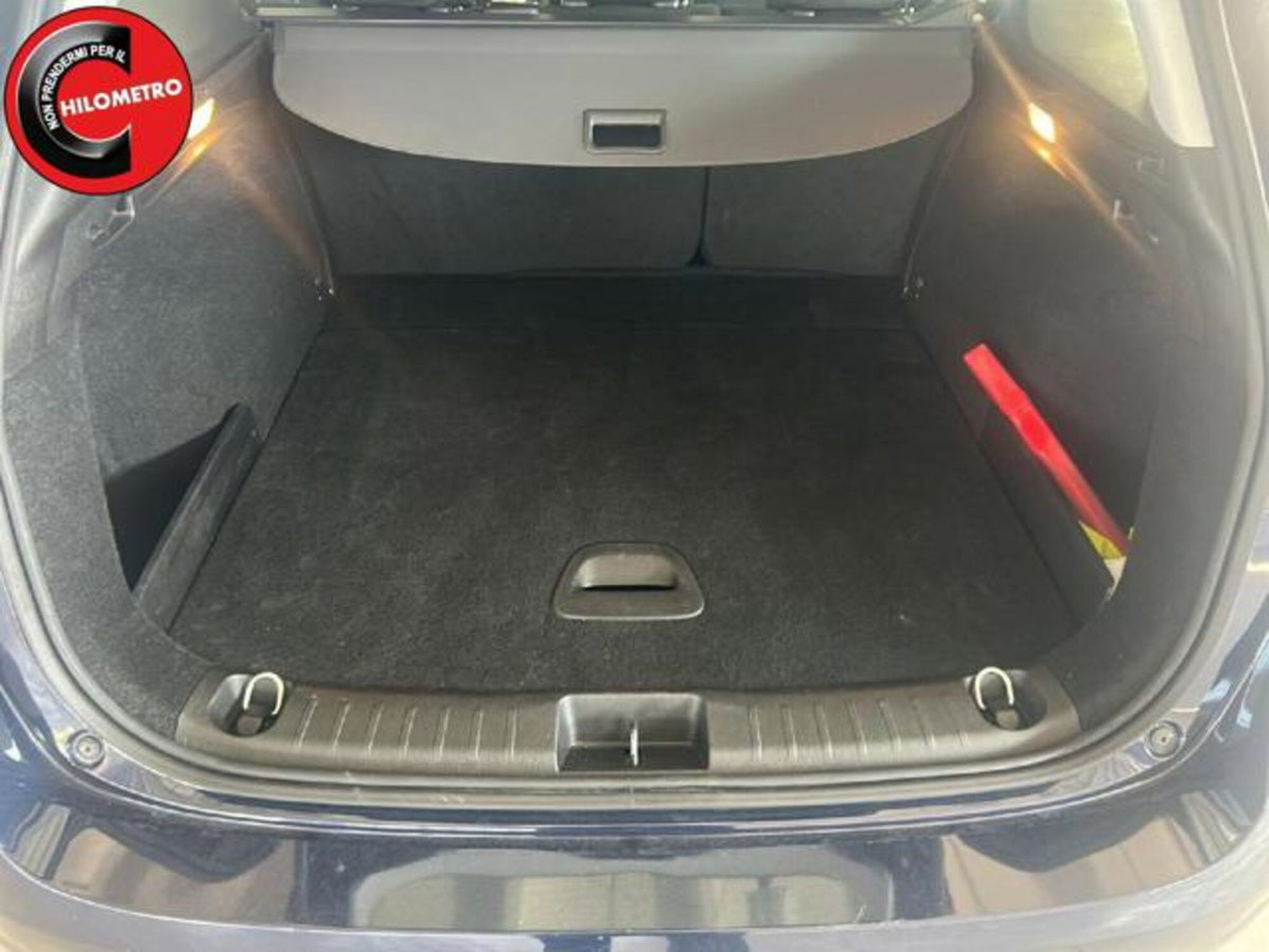 Fiat Tipo Station Wagon Tipo 1.6 Mjt S&S SW Easy Business (14)