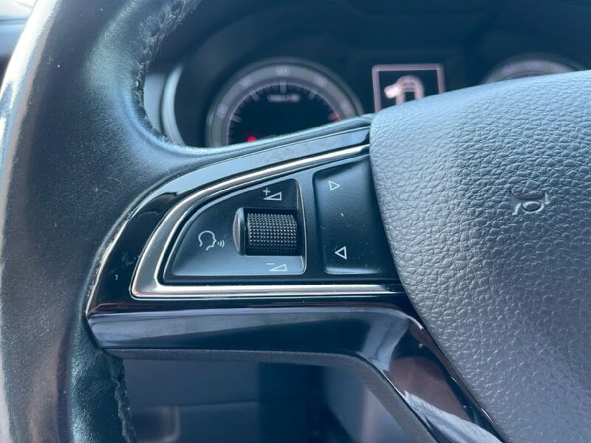 Skoda Octavia 1.5 G-TEC DSG Style (19)