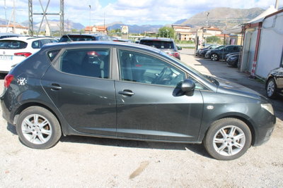 SEAT Ibiza 1.6 TDI CR DPF 5 porte Style (3)