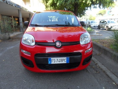 Fiat Panda 1.2 Pop usata
