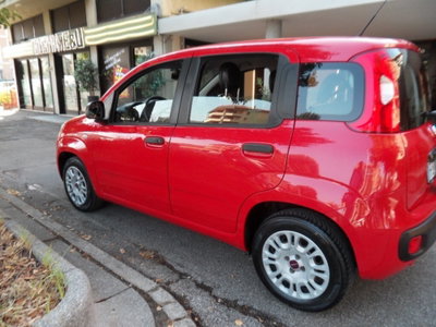 Fiat Panda 1.2 Pop (8)