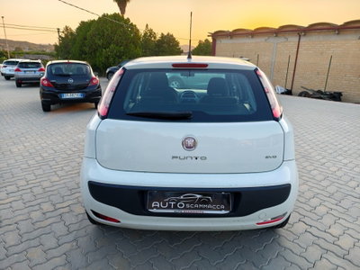 Fiat Punto Evo 1.3 Mjt 75 CV 5 porte Dynamic (6)