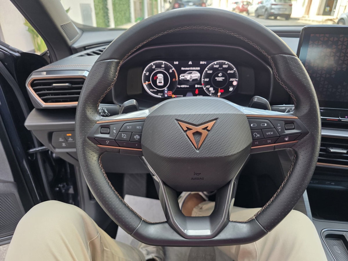 Cupra Formentor Formentor 2.0 tdi 4drive 150cv dsg (11)