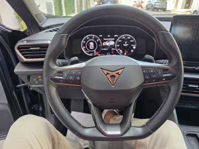 Cupra Formentor Formentor 2.0 tdi 4drive 150cv dsg (11)