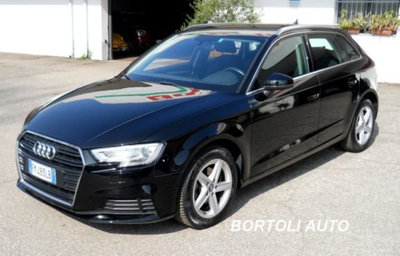 Audi A3 Sportback 1.6 TDI 116 CV Business usata