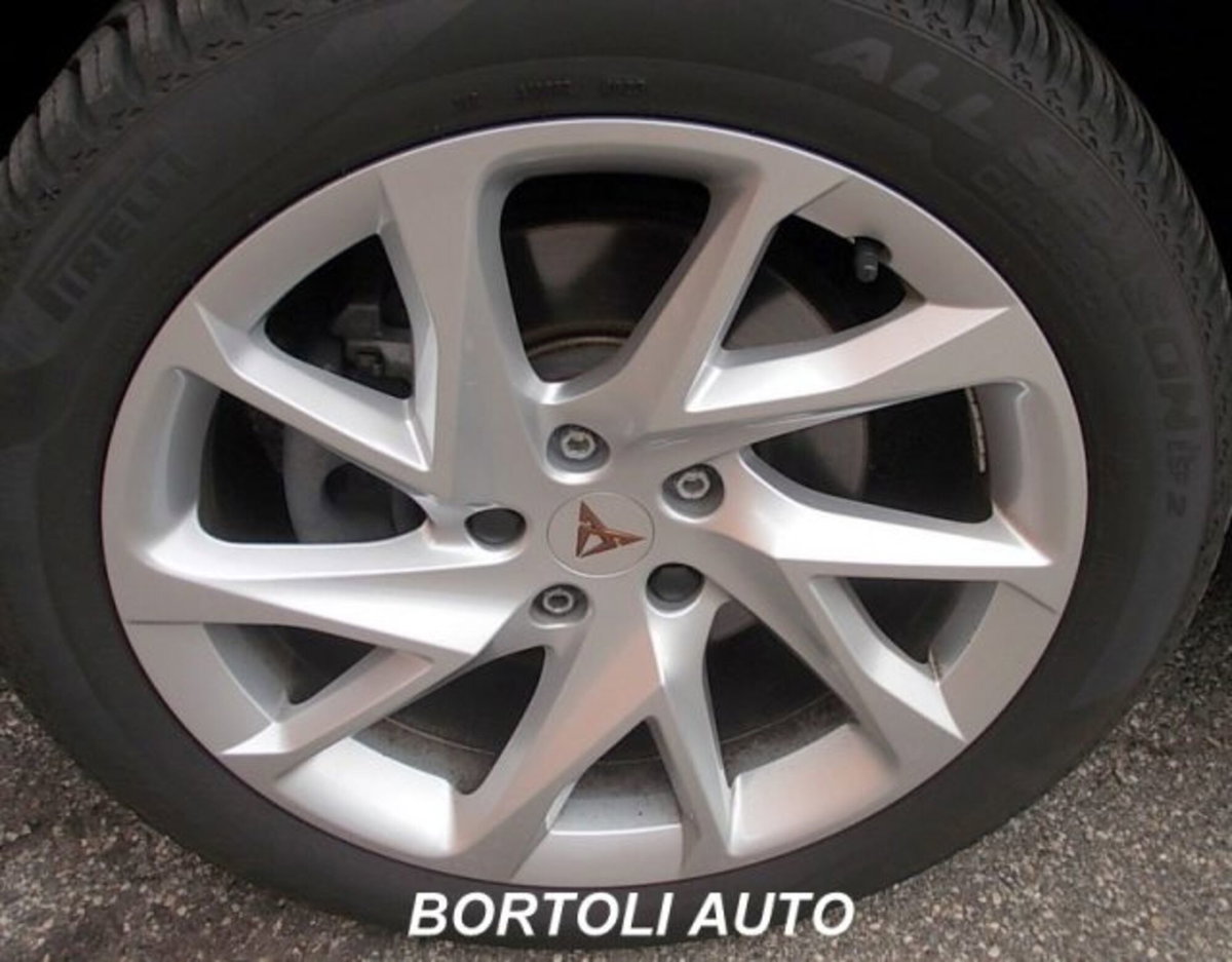 Cupra Formentor Formentor 2.0 tdi 4drive 150cv dsg (12)