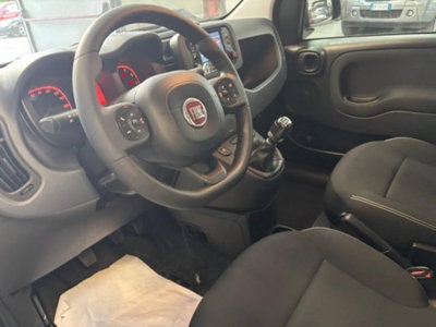 Fiat Panda 1.0 firefly hybrid s&s 70cv 5p.ti (11)
