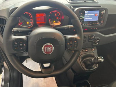 Fiat Panda 1.0 firefly hybrid s&s 70cv 5p.ti (9)