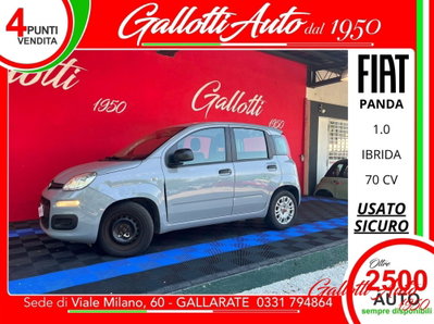 Fiat Panda Cross Cross 1.0 FireFly S&S Hybrid usata