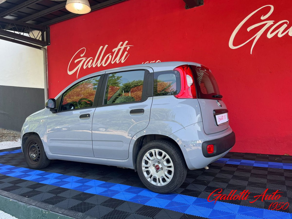 Fiat Panda Cross Cross 1.0 FireFly S&S Hybrid (2)