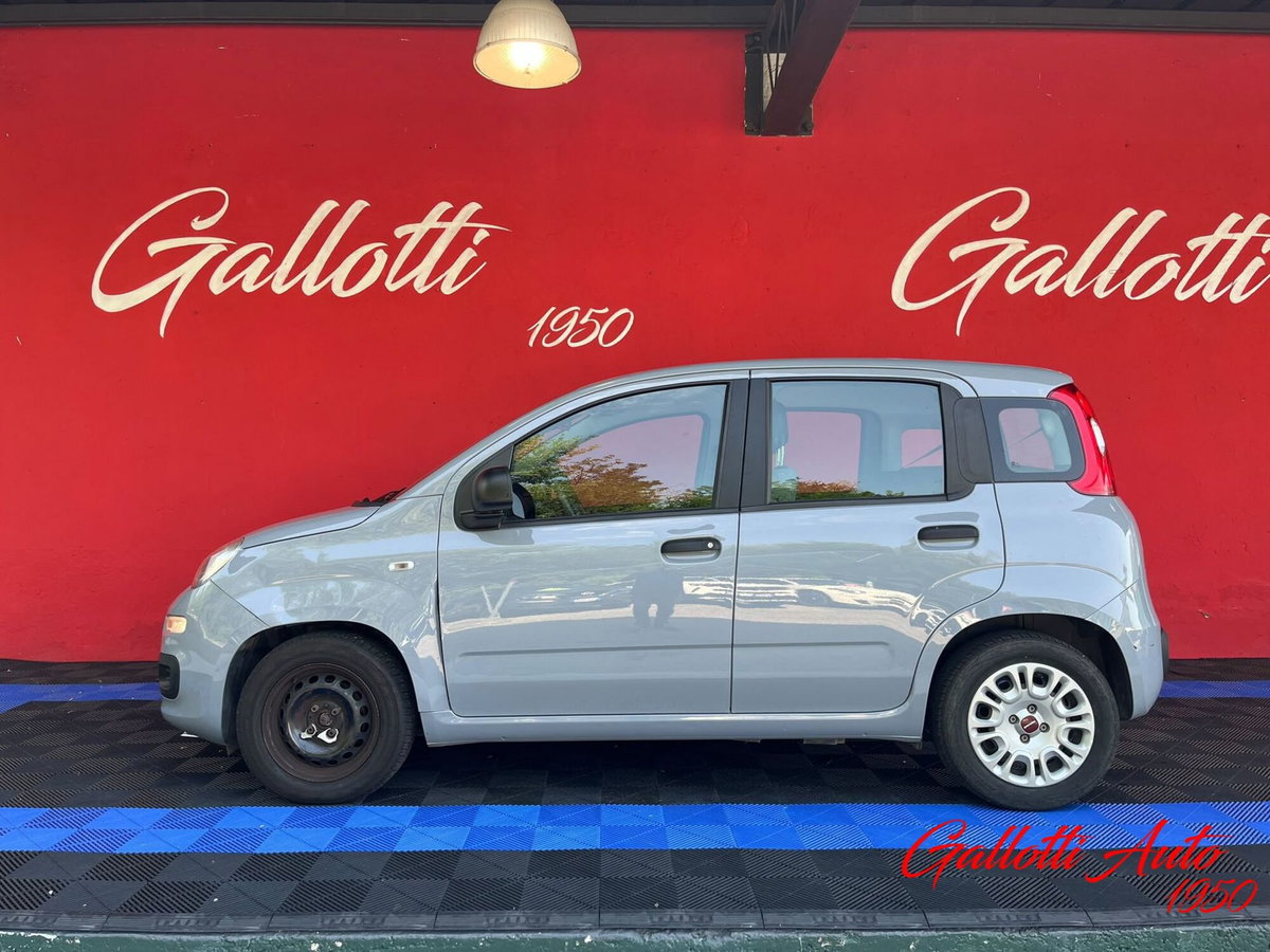 Fiat Panda Cross Cross 1.0 FireFly S&S Hybrid (3)