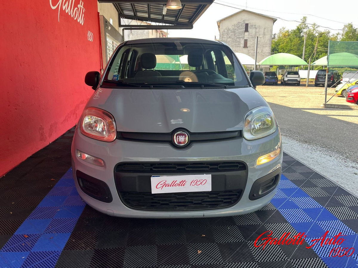Fiat Panda Cross Cross 1.0 FireFly S&S Hybrid (5)