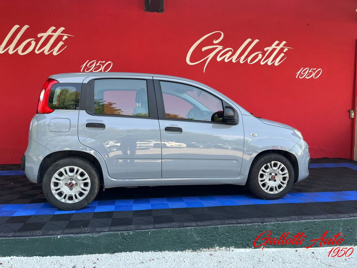 Fiat Panda Cross Cross 1.0 FireFly S&S Hybrid (7)