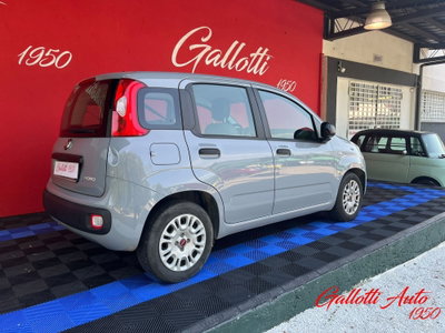 Fiat Panda Cross Cross 1.0 FireFly S&S Hybrid (8)