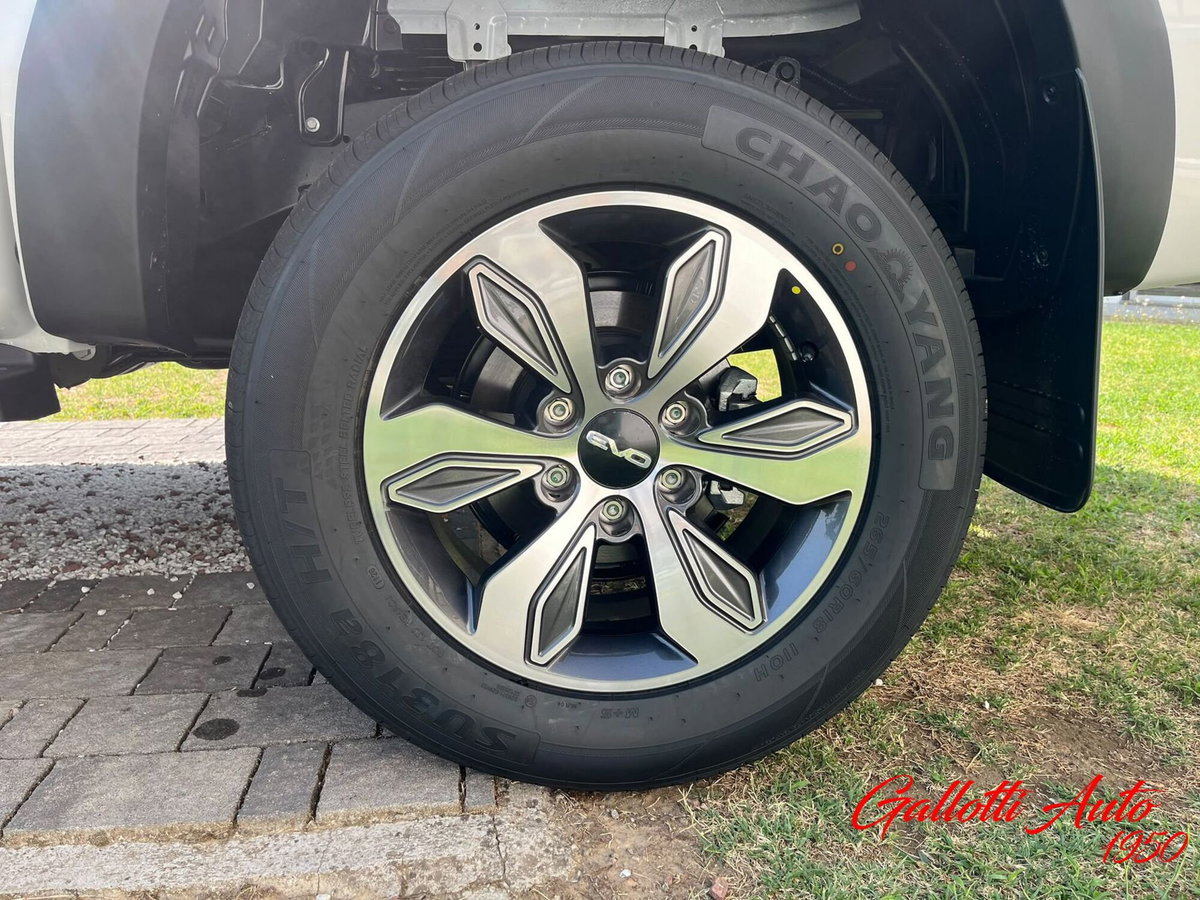 Evo Evo Cross 4 2.0 turbo diesel 136cv (17)
