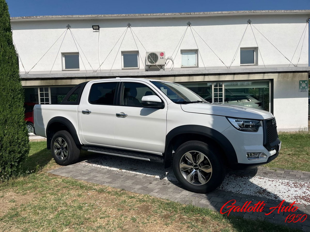 Evo Evo Cross 4 2.0 turbo diesel 136cv (5)