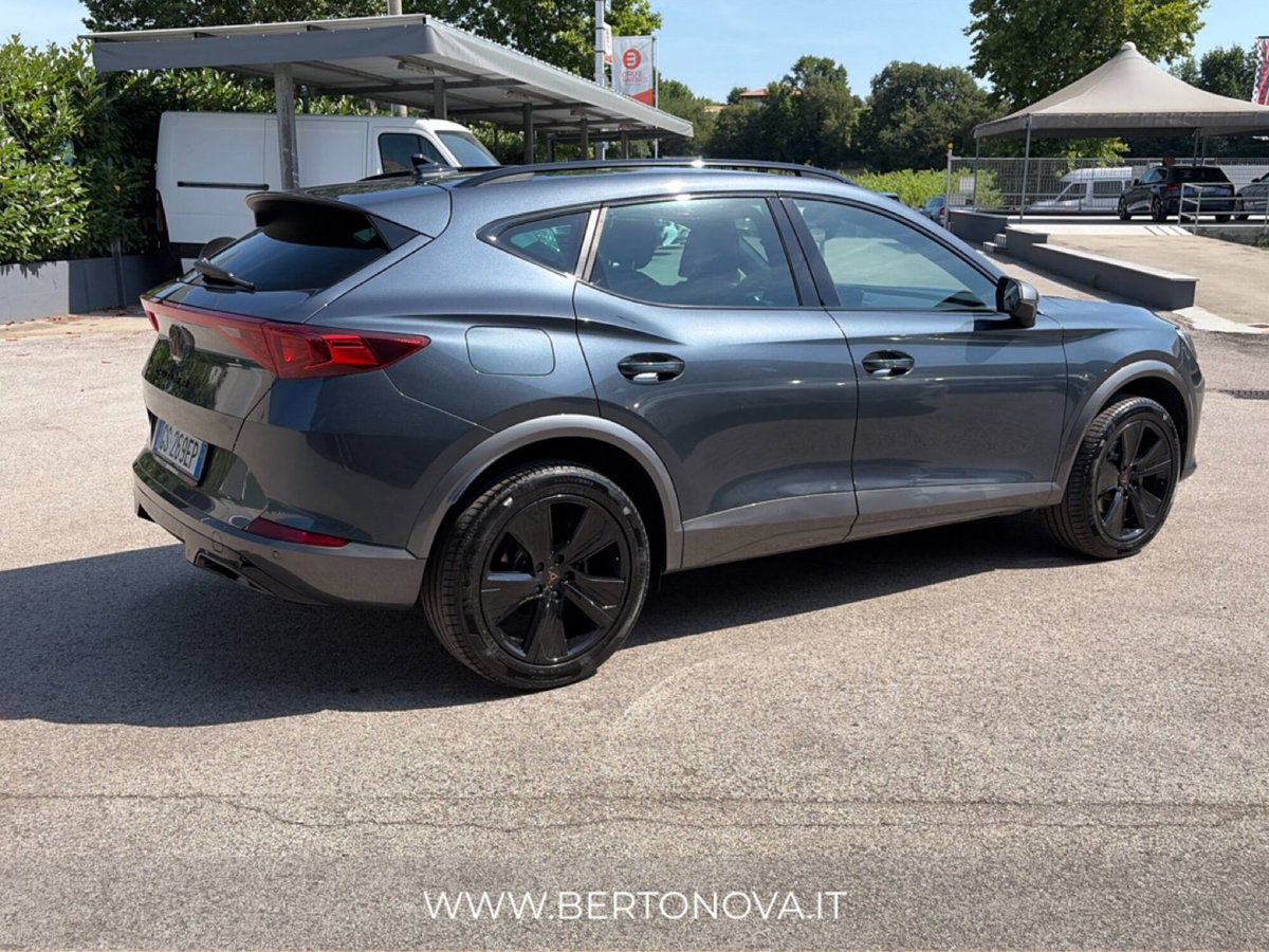 Cupra Formentor Formentor 2.0 tdi 4drive 150cv dsg (12)