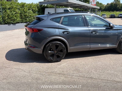 Cupra Formentor Formentor 2.0 tdi 4drive 150cv dsg (13)