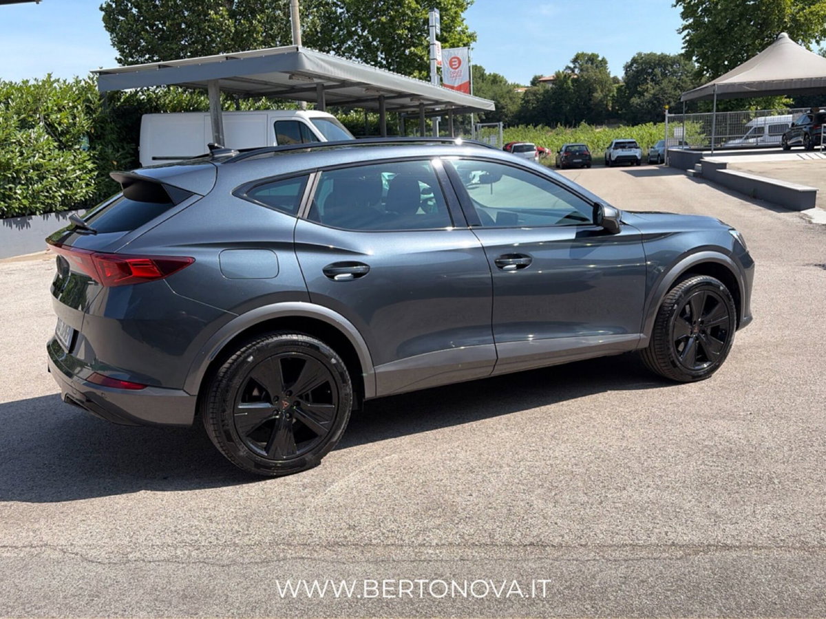 Cupra Formentor Formentor 2.0 tdi 4drive 150cv dsg (14)