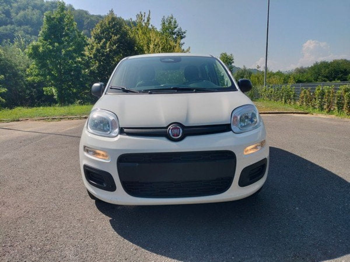 Fiat Pandina 1.0 firefly hybrid Icon s&s 65cv (2)