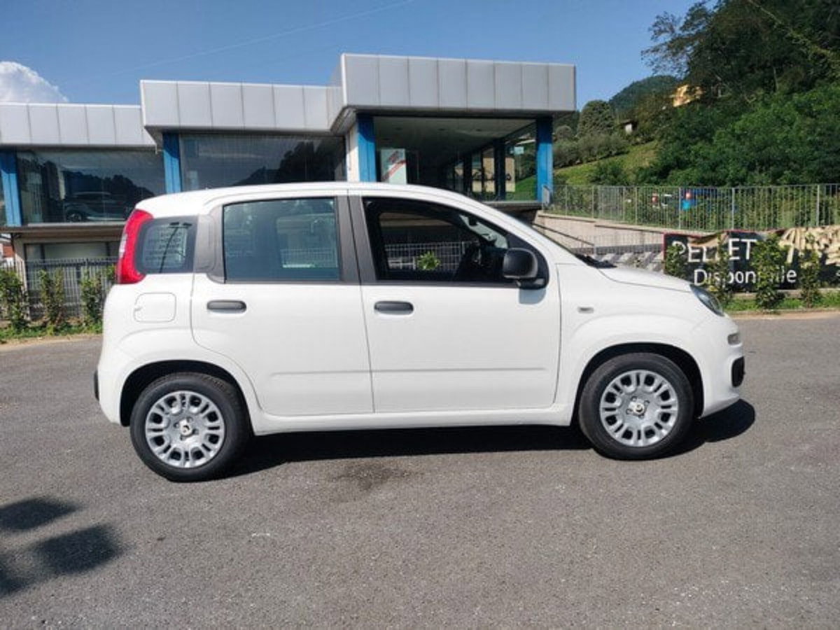 Fiat Pandina 1.0 firefly hybrid Icon s&s 65cv (4)