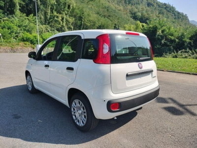 Fiat Pandina 1.0 firefly hybrid Icon s&s 65cv (8)
