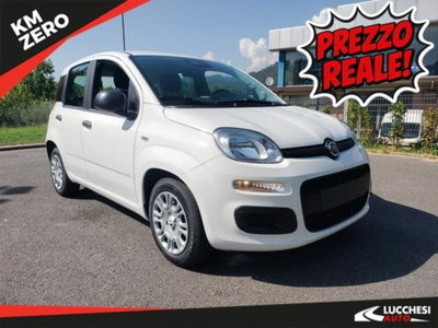 Fiat Pandina 1.0 firefly hybrid Icon s&s 65cv nuova