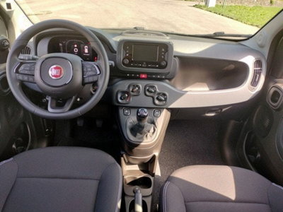 Fiat Pandina 1.0 firefly hybrid Icon s&s 65cv (12)