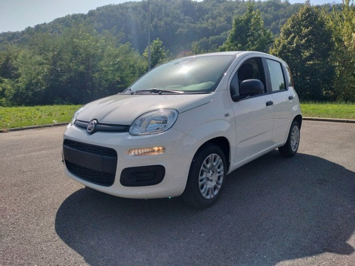 Fiat Pandina 1.0 firefly hybrid Icon s&s 65cv (3)