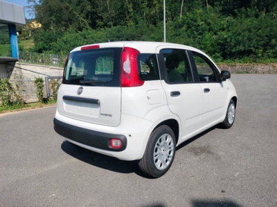 Fiat Pandina 1.0 firefly hybrid Icon s&s 65cv (6)