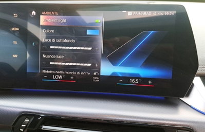 BMW X1 sdrive18d MSport auto (20)