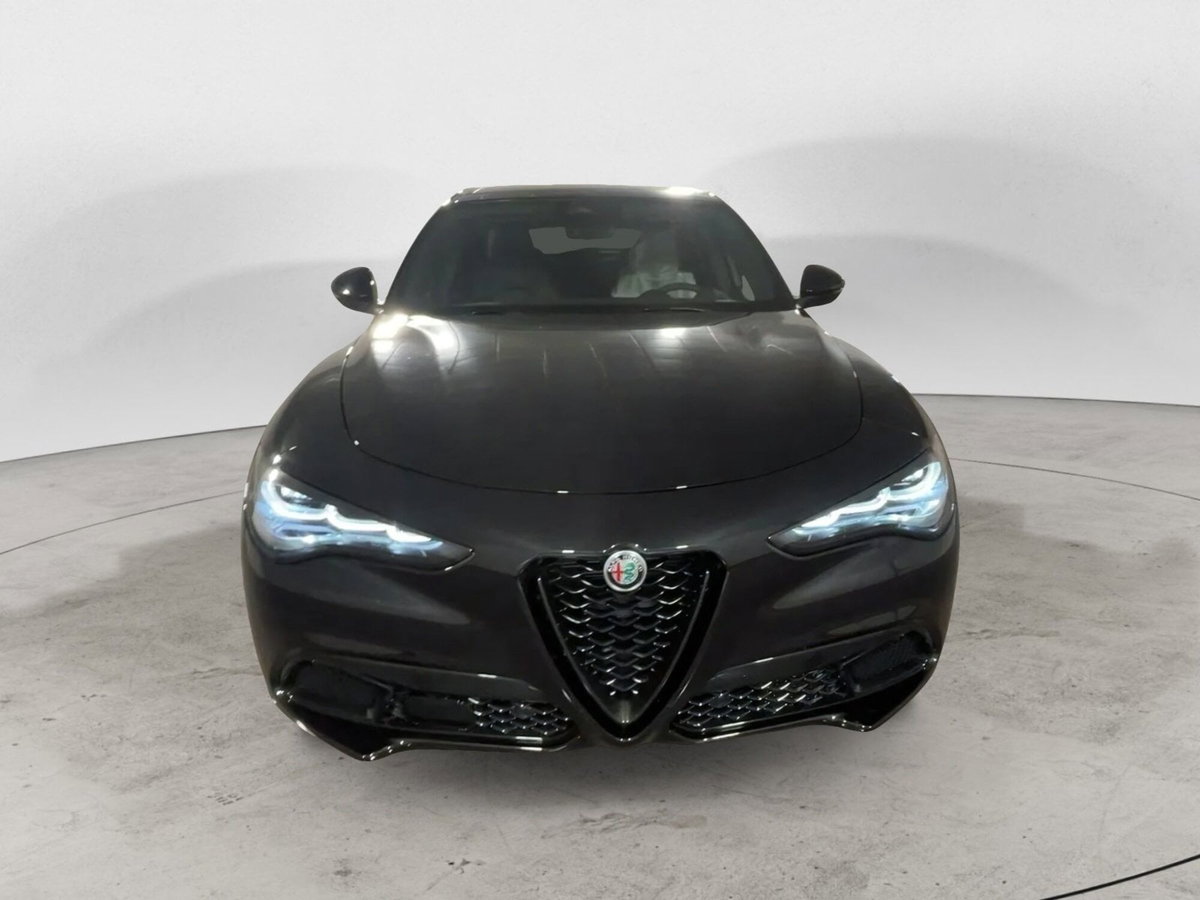 Alfa Romeo Stelvio Stelvio 2.2 Turbodiesel 210 CV AT8 Q4 Veloce (2)
