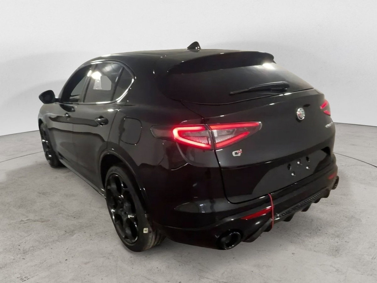 Alfa Romeo Stelvio Stelvio 2.2 Turbodiesel 210 CV AT8 Q4 Veloce (4)