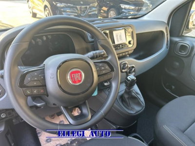 Fiat Panda 1.0 firefly hybrid s&s 70cv 5p.ti (13)