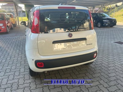 Fiat Panda 1.0 firefly hybrid s&s 70cv 5p.ti (3)