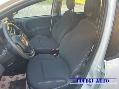Fiat Panda 1.0 firefly hybrid s&s 70cv 5p.ti (7)