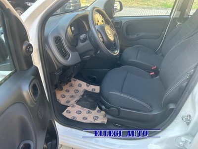 Fiat Panda 1.0 firefly hybrid s&s 70cv 5p.ti (8)