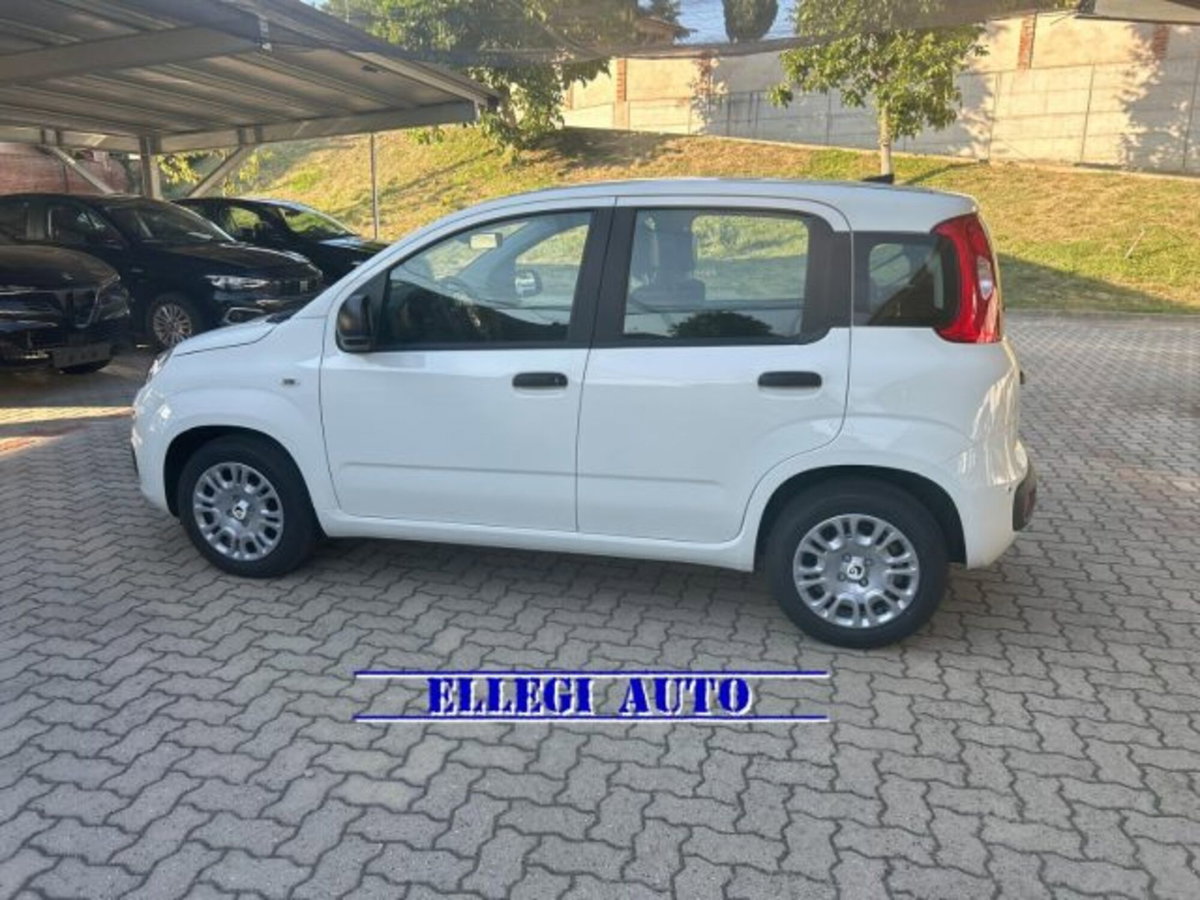 Fiat Panda 1.0 firefly hybrid s&s 70cv 5p.ti (9)