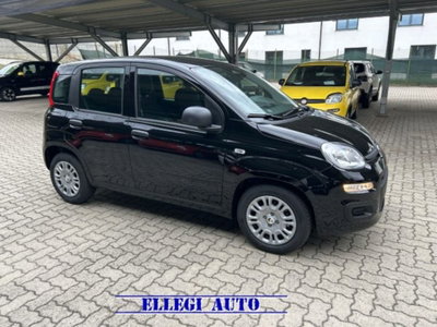 Fiat Panda 1.0 firefly hybrid s&s 70cv 5p.ti nuova