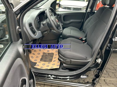 Fiat Panda 1.0 firefly hybrid s&s 70cv 5p.ti (10)