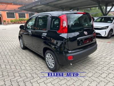 Fiat Panda 1.0 firefly hybrid s&s 70cv 5p.ti (5)