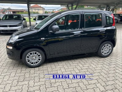 Fiat Panda 1.0 firefly hybrid s&s 70cv 5p.ti (8)