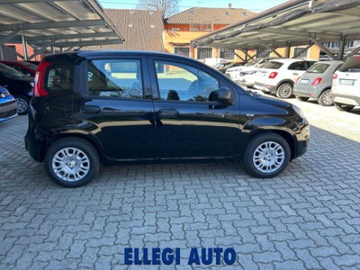 Fiat Panda 1.0 firefly hybrid s&s 70cv 5p.ti (3)
