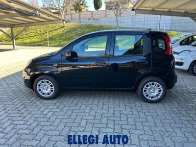 Fiat Panda 1.0 firefly hybrid s&s 70cv 5p.ti (6)