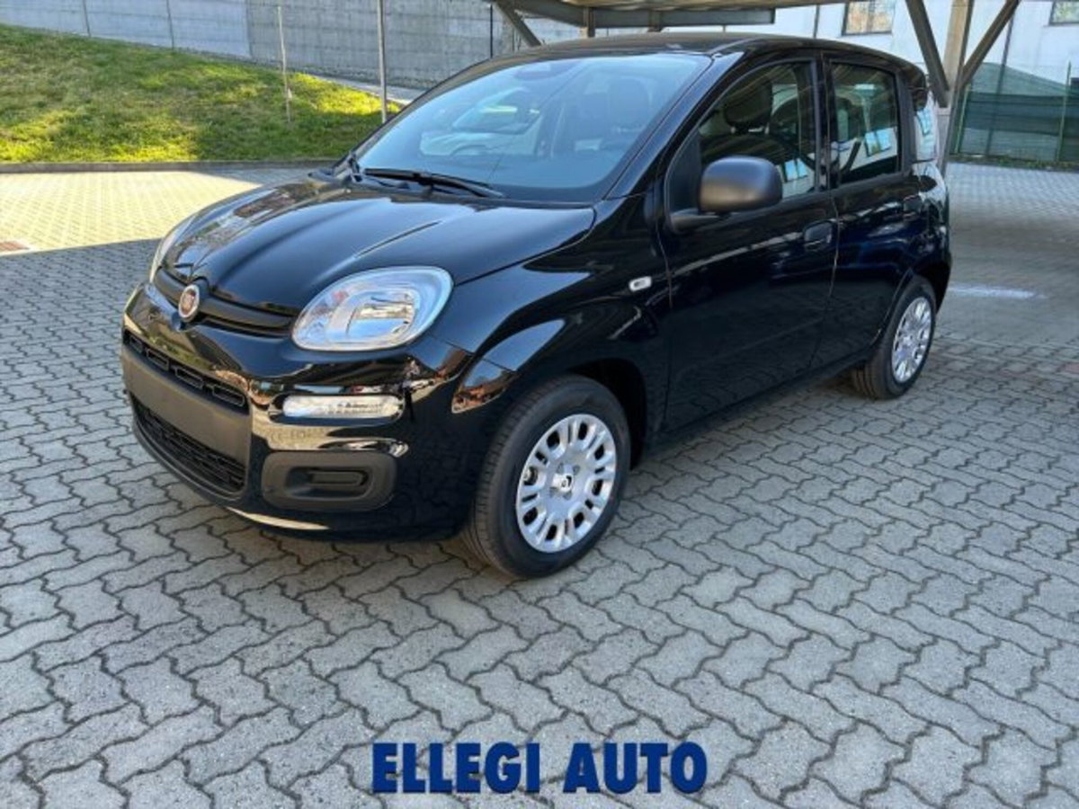 Fiat Panda 1.0 firefly hybrid s&s 70cv 5p.ti (14)